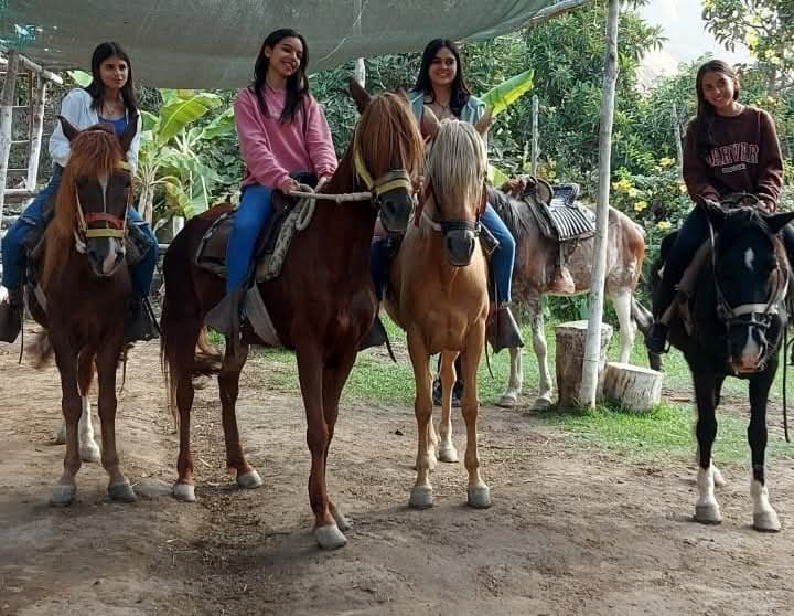 Experiencias Terrestres