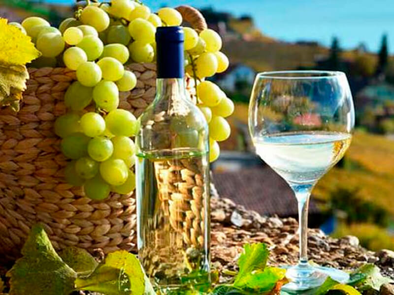 Lunahuaná La ruta del Pisco